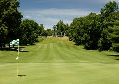 Pine Knob Golf Club, Michigan