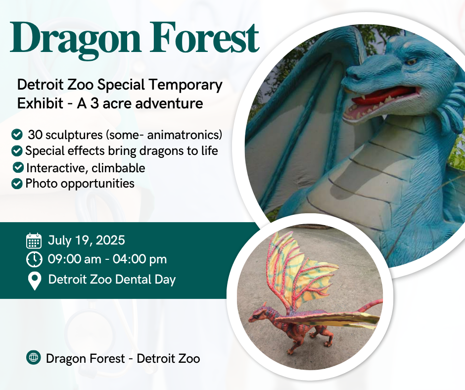 Dragon Forest